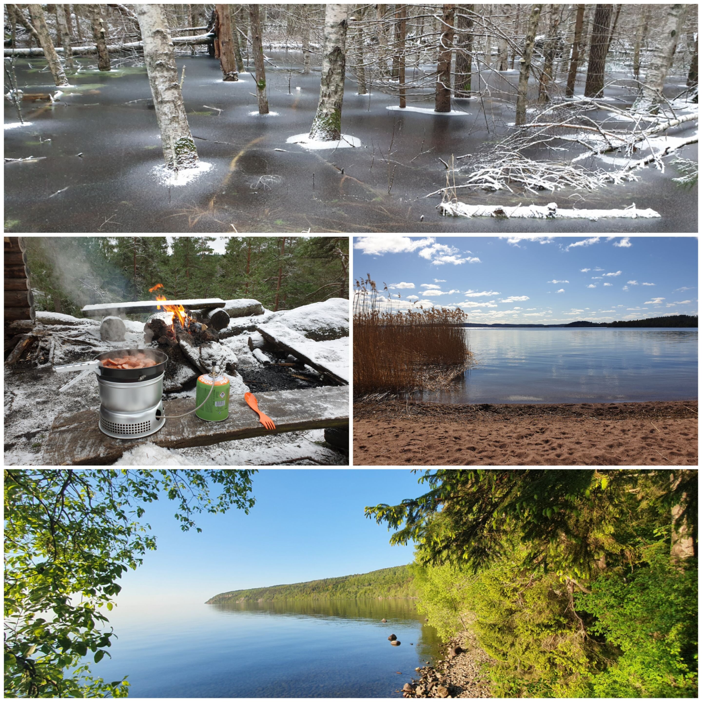 Collage of different types of nature