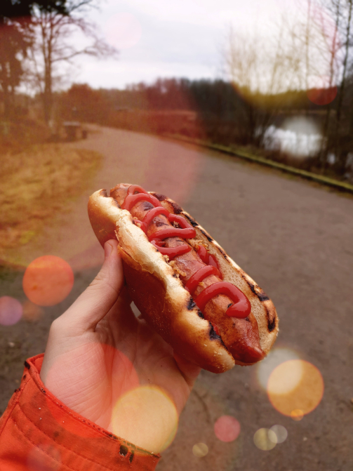 Image proving sausage is best outdoor food